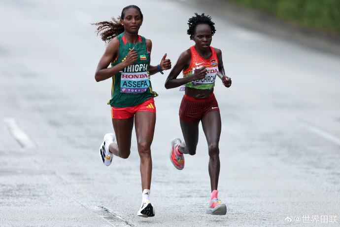 海港焕新升,年度换血成,就瞩目,bet365,bet365体育,bet365官网,bet365网址